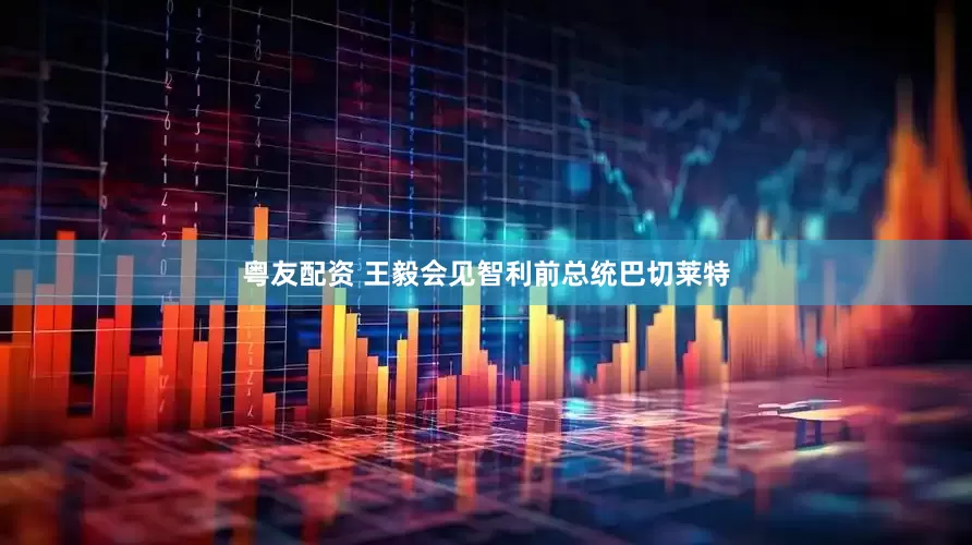 粤友配资 王毅会见智利前总统巴切莱特
