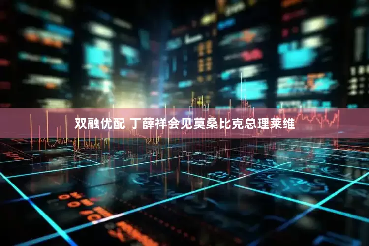 双融优配 丁薛祥会见莫桑比克总理莱维